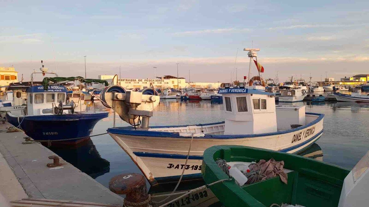 Fishing boats in the harbour